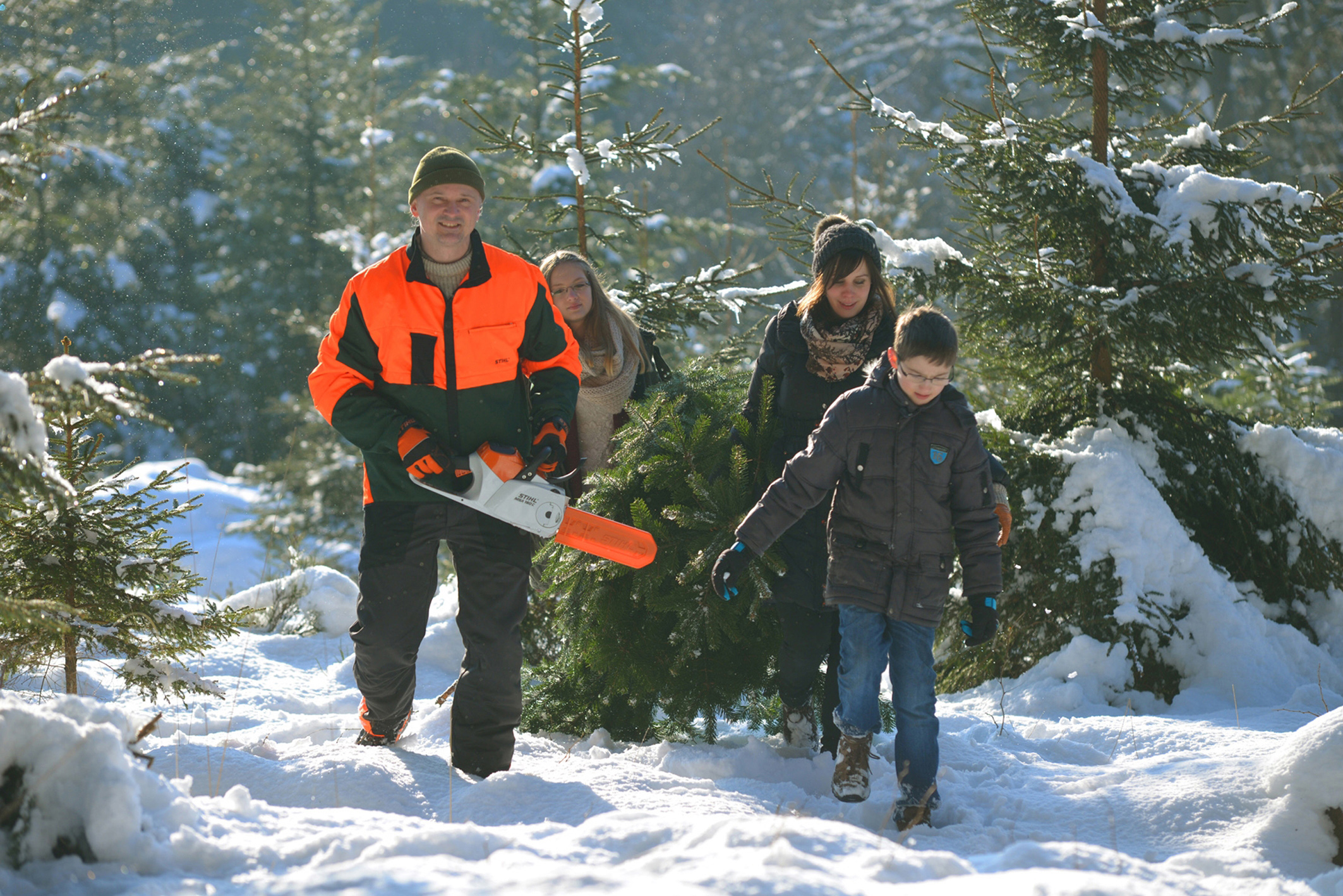 Familie holt ihren Weihnachtsbaum